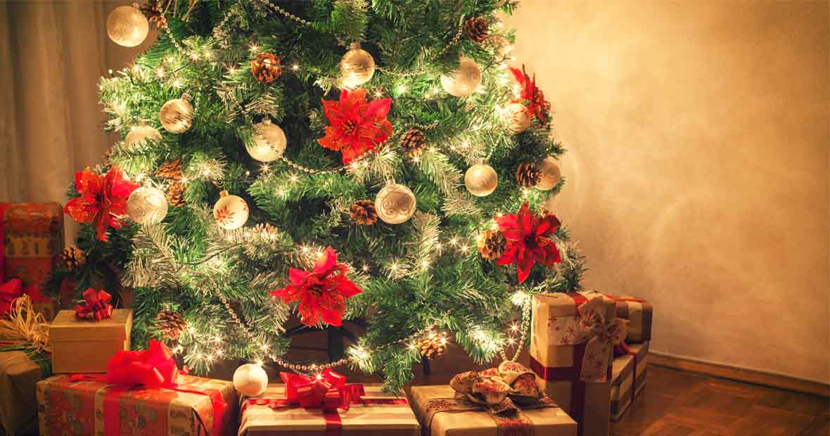 sapins de Noël